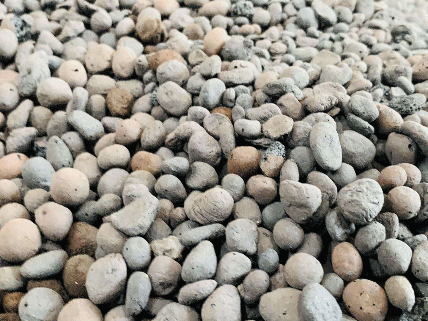 江西撫州陶粒廠(chǎng)發(fā)貨,價(jià)格便宜,陶粒強(qiáng)度好