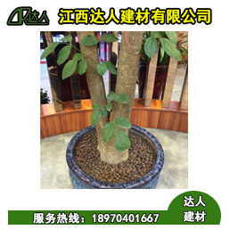 花卉園林陶粒好不好用？